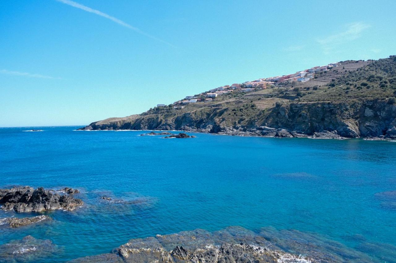 F3 En Bord De Mer Avec Piscine Cerbère Exterior foto