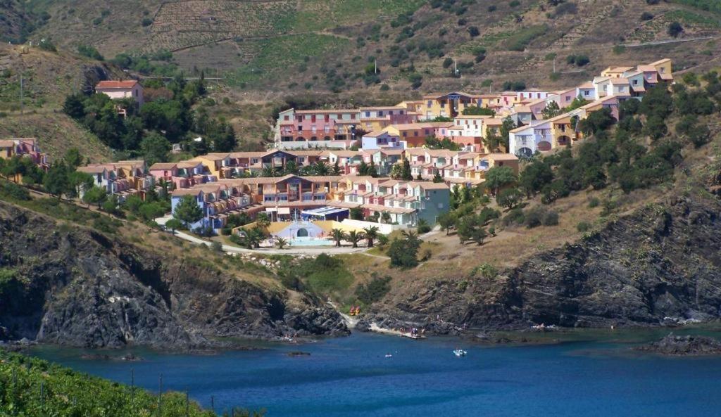 F3 En Bord De Mer Avec Piscine Cerbère Exterior foto