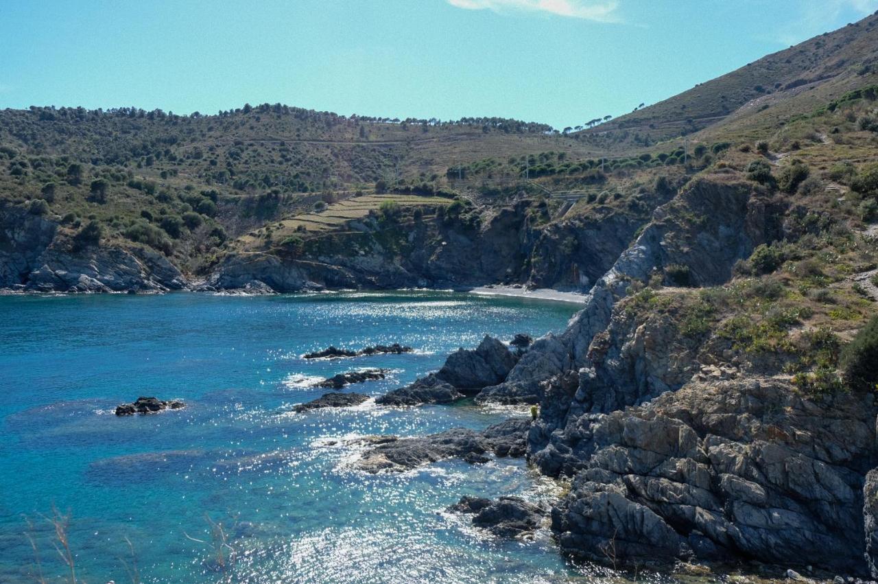 F3 En Bord De Mer Avec Piscine Cerbère Exterior foto